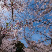 画像254