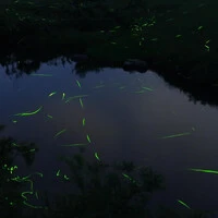 画像270