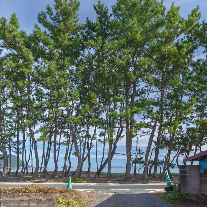 画像320