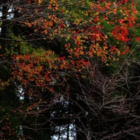 画像328