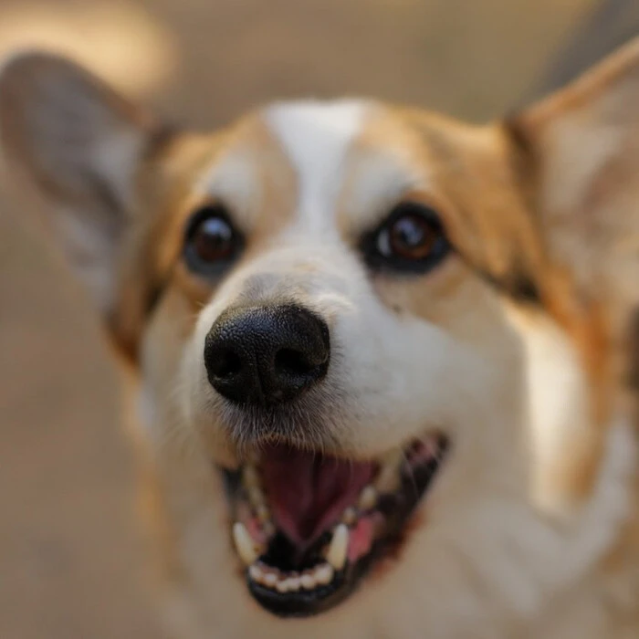 画像354