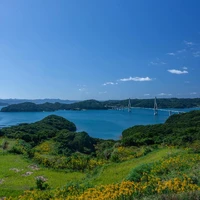 画像378