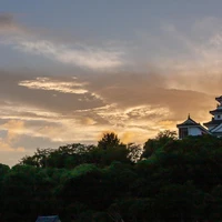 画像382