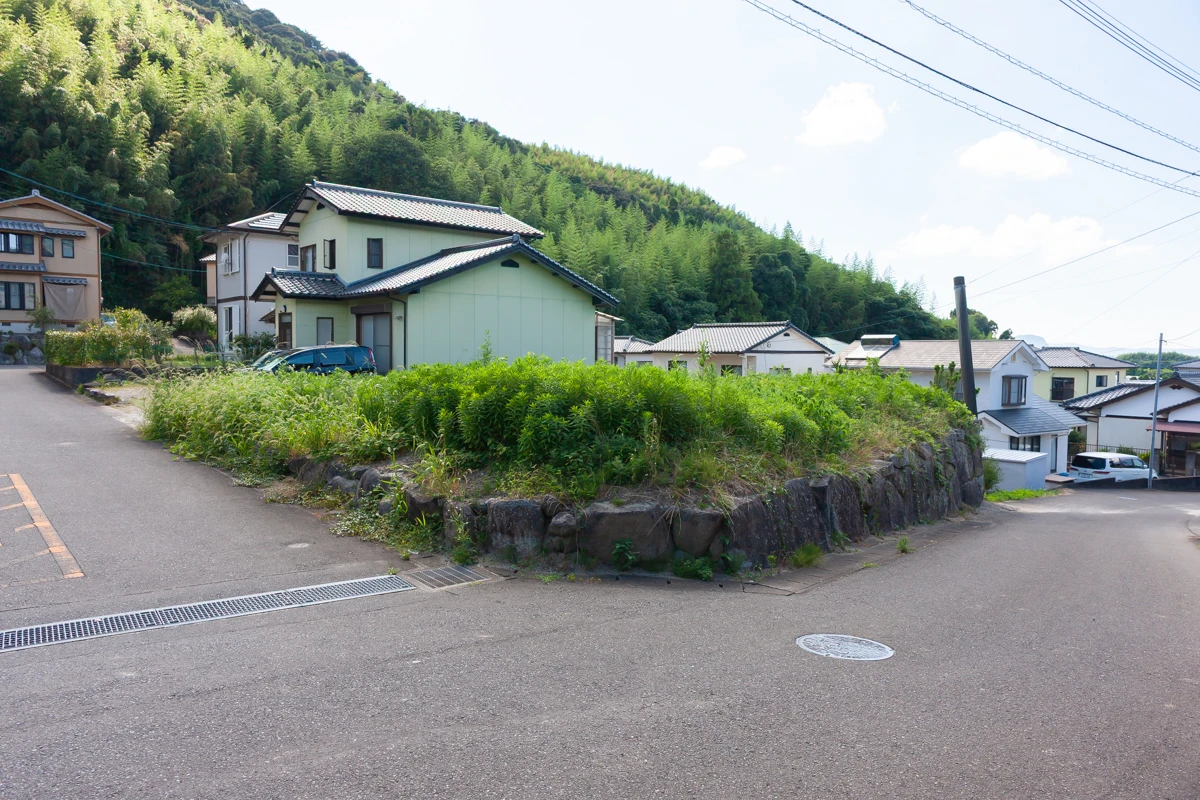 3A9C7794